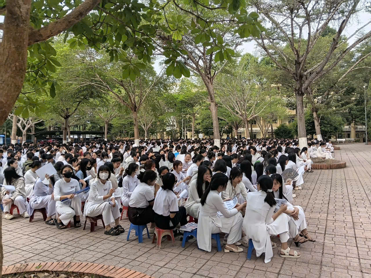 Tư vấn hướng nghiệp THPT Phú Ngọc